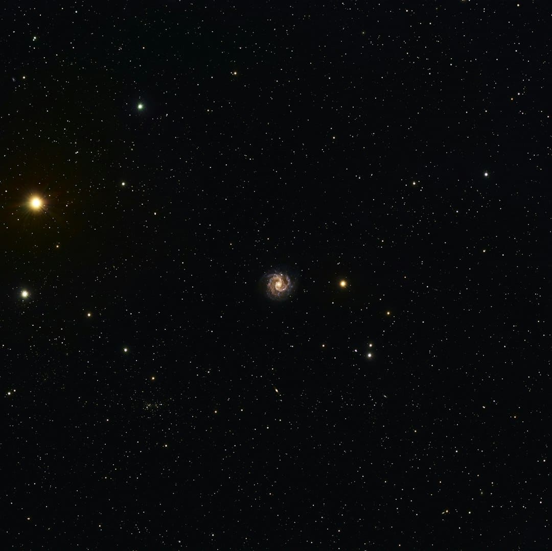 迷倒海外顶流明星的魔性动画《面条和面包》剧集全网上线